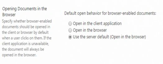 Documents in the Browser