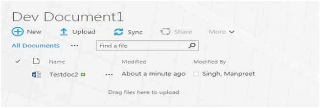 Dev Document