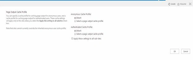 Site Output Cache