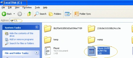 c-dumpfile.gif