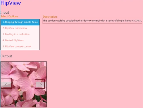 output1.gif