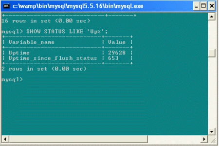 img 4.gif