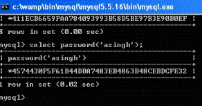 returns a password