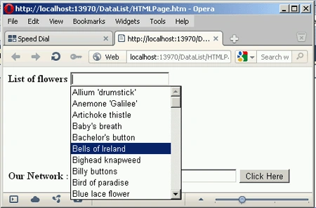 DataList Tag