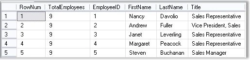Searching-Sorting-and-Paging-using-SQLQuery-1.jpg