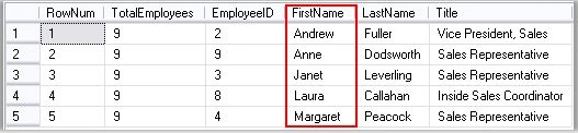 Searching-Sorting-and-Paging-using-SQLQuery-2.jpg