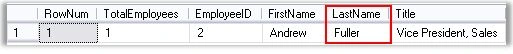 Searching-Sorting-and-Paging-using-SQLQuery-3.jpg