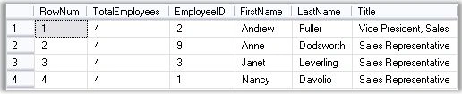 Searching-Sorting-and-Paging-using-SQLQuery-4.jpg