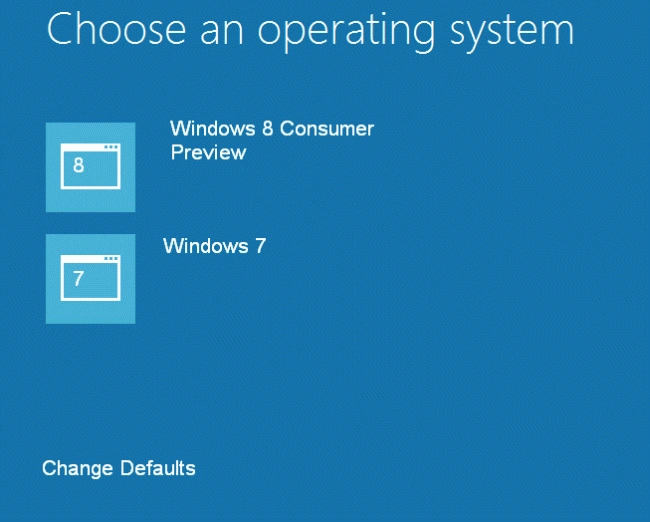 choose-an-operating-system-option-in-windows8.gif