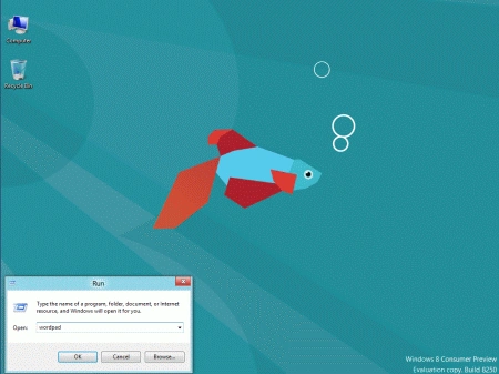 run-promt-in-windows8.gif