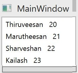 Main window
