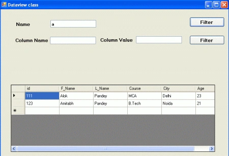 dataview in dotnet