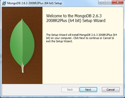SteupWizard1