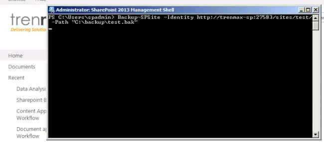 Backup SPSite