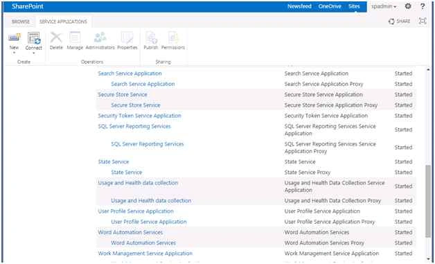 SSRS service application