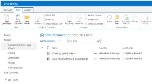 document 
