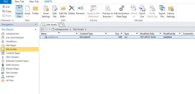 Custom.CSS