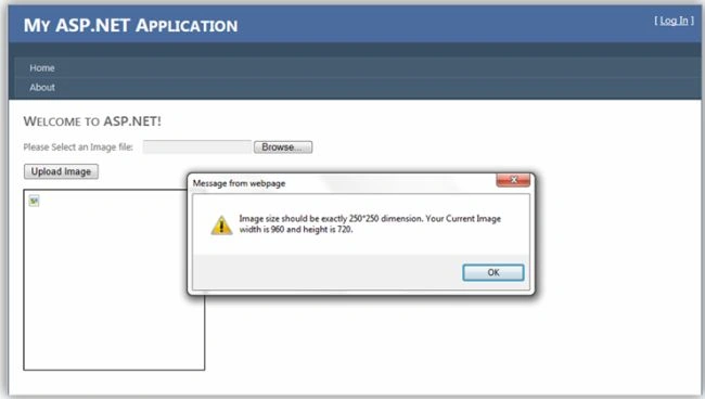 FileUpload-control-and-images-in-ASP.NET4.jpg