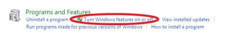 window features