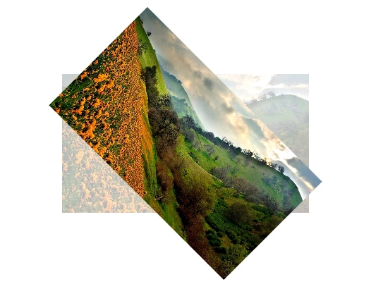 RotationZ-Windows-Store-Apps.png