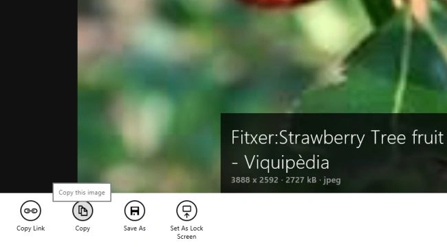 Copy-Img-Windows8.jpg
