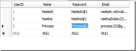 Silverlight-authentication2.jpg