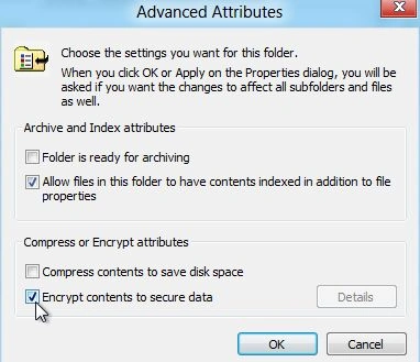 enable-EFS-in-windows8.jpg