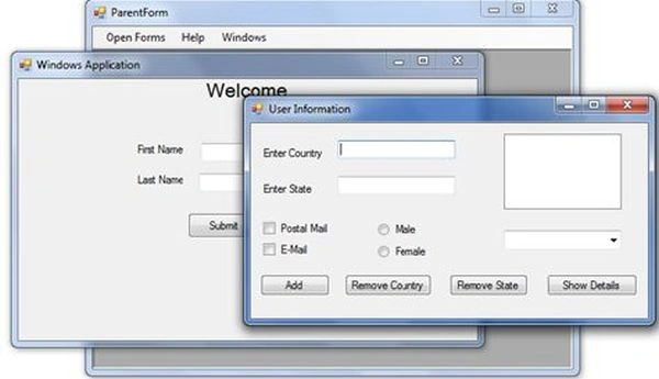 MDIForm2.jpg