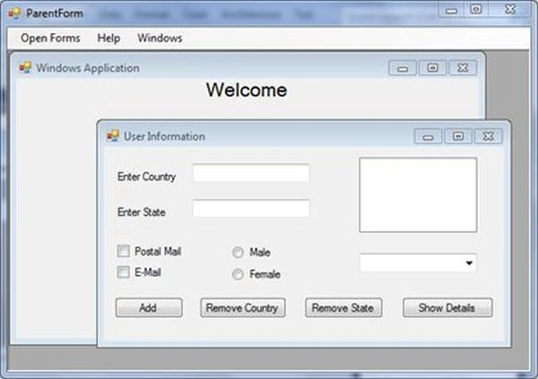 MDIForm3.jpg