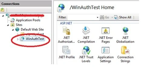 IIS
