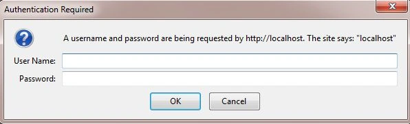 IIS Basic Authentication