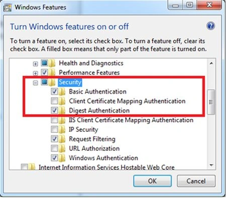 IIS Security options