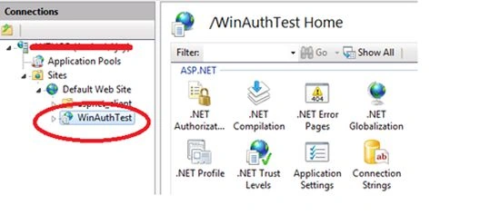 IIS