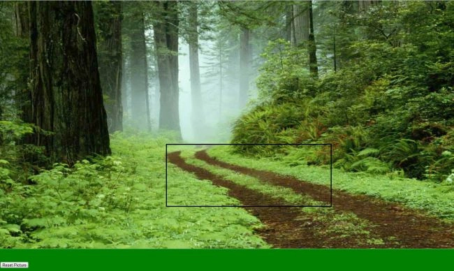 Output Image