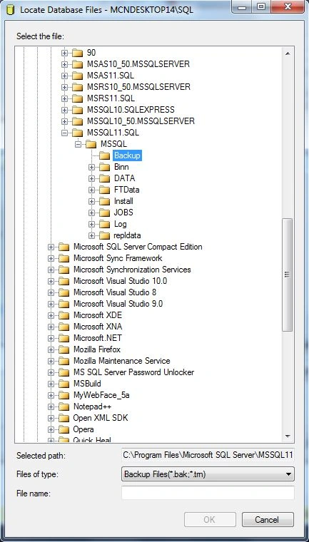Database Backup in SQL Server 2012