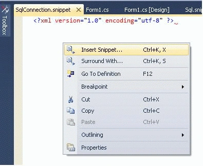 CodeSnpt2.gif