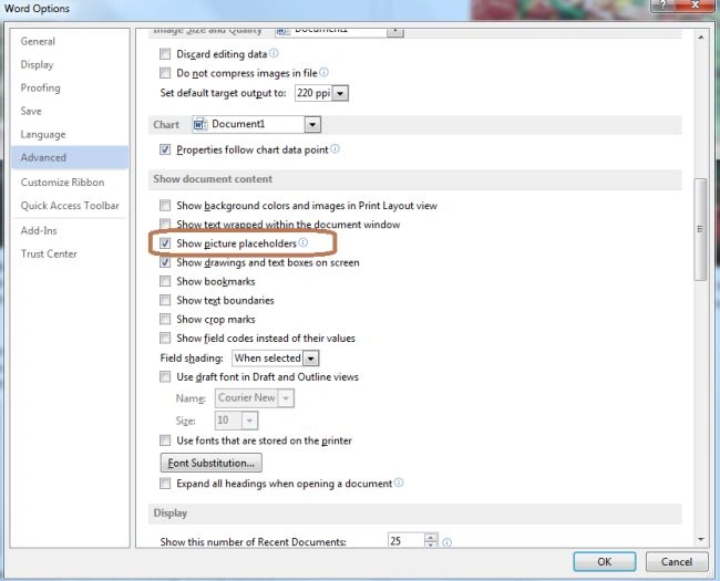Show document content