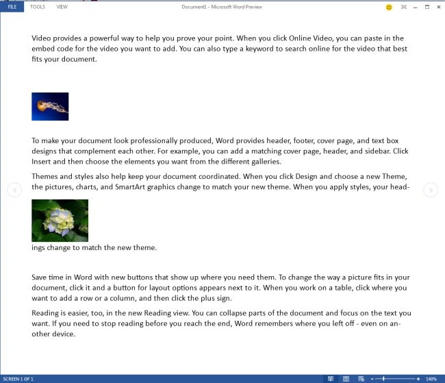 document-in-read-mode.jpg