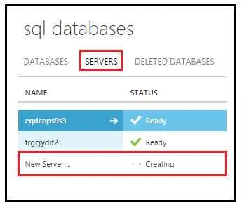 about our server