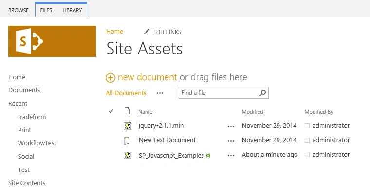 javascript file