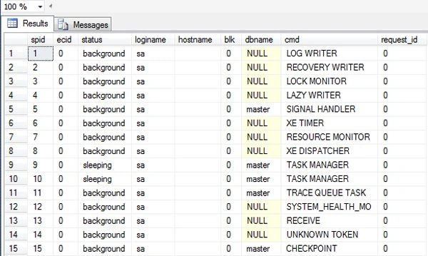 result-particular-sp_who-command-in-SQL.jpg