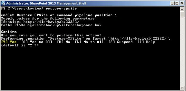 Backup path