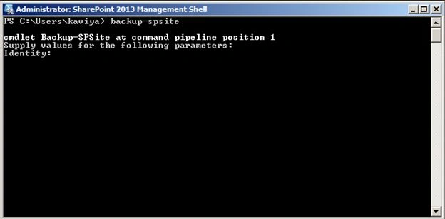 Backup-spsite