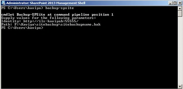 Site backup