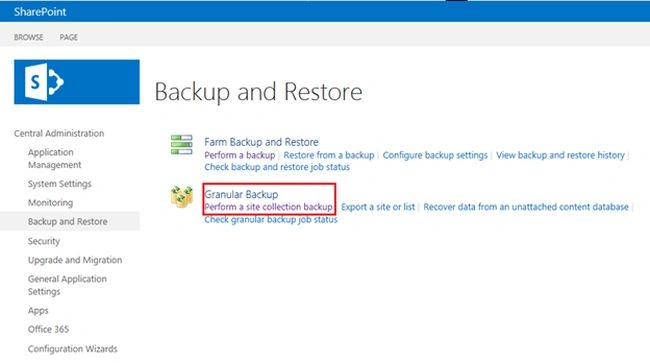granular backup