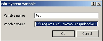java path