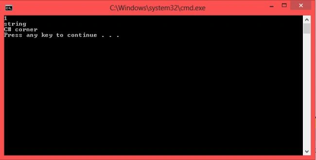 program output