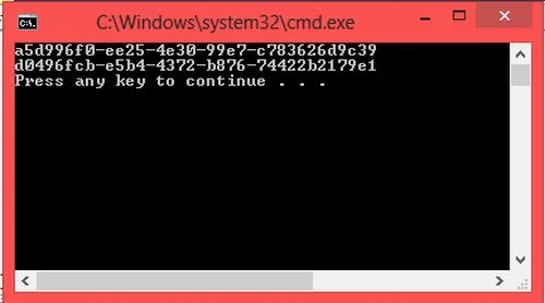 program output
