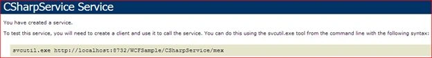 metadata in wsdl format false