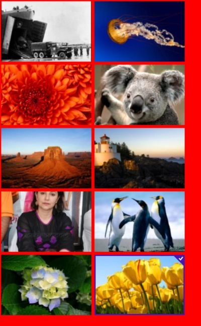 Binding-PictureLibrary-To-Gridview-Control.jpg
